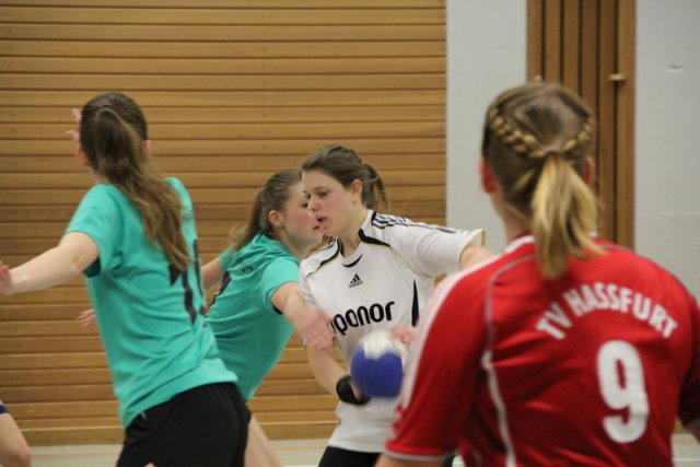 2016_01_23 Landesliga Frauen